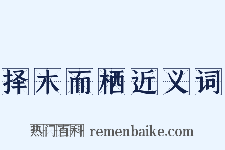 择木而栖近义词是什么意思的图片